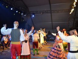 Festival de Folkore en Mula